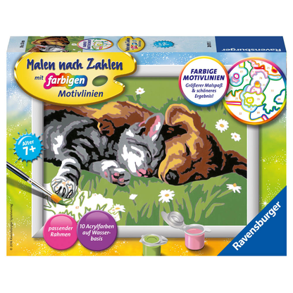 Artikelbild für Ravensburger Malen-nach-Zahlen Tiefer Schlaf mehrfarbig, Artikelnummer 475671