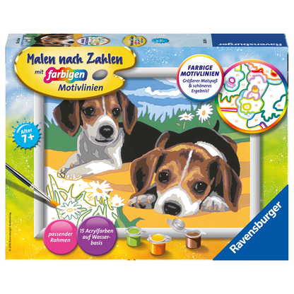 Artikelbild für Ravensburger Malen-nach-Zahlen Jack Russel Welpen mehrfarbig, Artikelnummer 475794