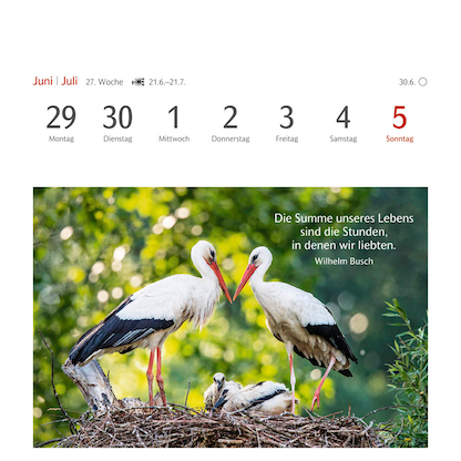 Artikelbild 9 für Harenberg Postkartenkalender Momente des Glücks 2026, 1 St., Artikelnummer 551277