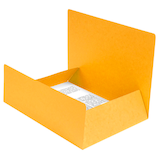 Artikelbild 1 für Exacompta Sammelmappen DIN A4 gelb, 25 St., Artikelnummer 286821