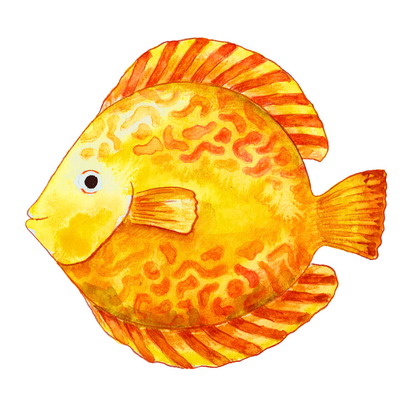 Artikelbild 8 für FABER-CASTELL KINDER-AQUARELL Aquarellstifte farbsortiert, 1 St., Artikelnummer 748977