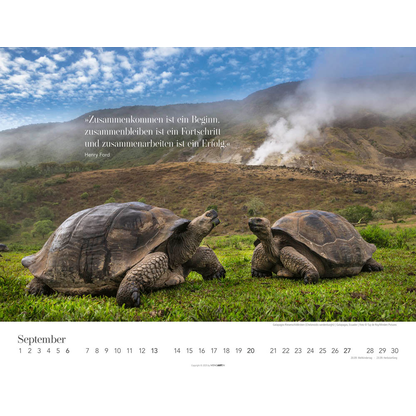 Artikelbild 10 für Weingarten Monats-Wandkalender Wege des Erfolgs 2026, 1 St., Artikelnummer 551087