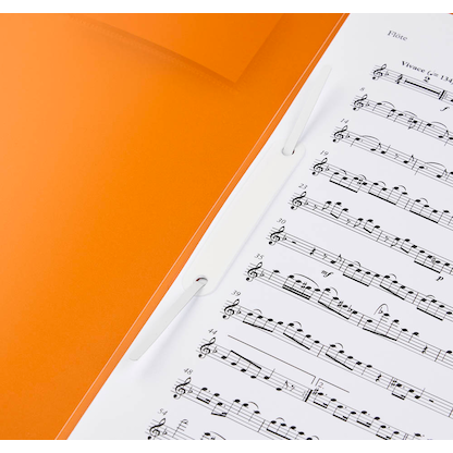 Artikelbild 2 für BRUNNEN Schnellhefter FACT!pp Kunststoff orange transluzent DIN A4, 1 St., Artikelnummer 757441