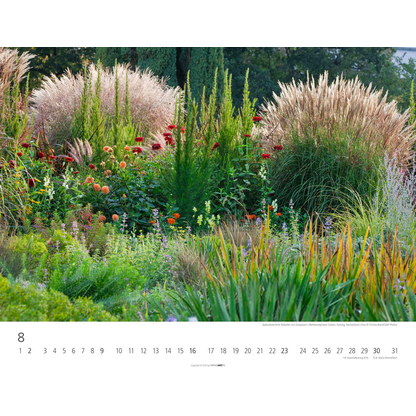 Artikelbild 9 für Weingarten Monats-Wandkalender Gräser 2026, 1 St., Artikelnummer 551164