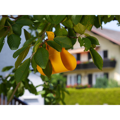 Artikelbild 3 für SUBSTRAL® Naturen® Fruchtfliegenfalle Gelbtafeln Bio gelb, 7 St., Artikelnummer 664726