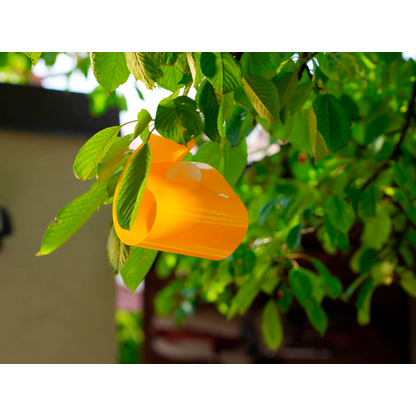 Artikelbild 4 für SUBSTRAL® Naturen® Fruchtfliegenfalle Gelbtafeln Bio gelb, 7 St., Artikelnummer 664726