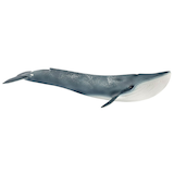 Artikelbild 1 für Schleich® Wild Life 14806 Blauwal Spielfigur, Artikelnummer 729634