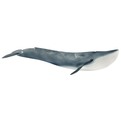 Artikelbild für Schleich® Wild Life 14806 Blauwal Spielfigur, Artikelnummer 729634