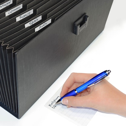 Artikelbild 7 für RAPESCO® Fächermappe 19 Fächer schwarz, 1 St., Artikelnummer 154684