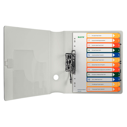 Artikelbild 2 für LEITZ Ordnerregister 1294 DIN A4 Vollformat, Überbreite 1-12 farbig 12-teilig, 1 Satz, Artikelnummer 614495