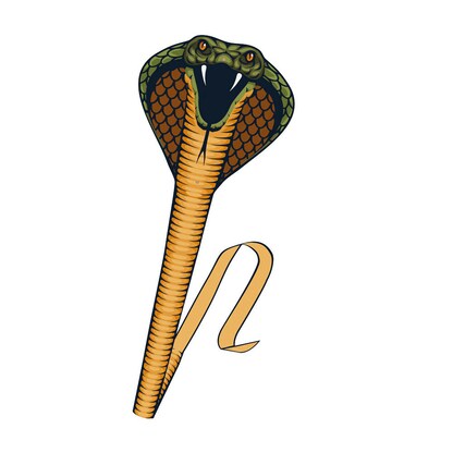 Artikelbild 2 für Günther® Flugdrachen Cobra mehrfarbig, 1 St., Artikelnummer 152656