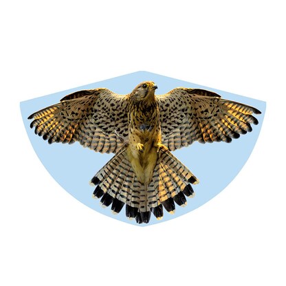 Artikelbild für Günther® Flugdrachen Falke mehrfarbig, 1 St., Artikelnummer 152498