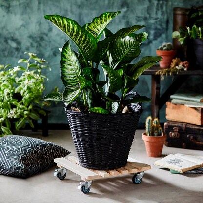 Artikelbild 4 für WAGNER® design yourself Pflanzenroller GH 0329 Holz hellbraun quadratisch 38,0 x 10,0 cm, 1 St., Artikelnummer 418636