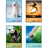 Artikelbild 1 für herlitz Zeichenblock DIN A3 100 g/m², 25 Blatt, 1 St., Artikelnummer 801229