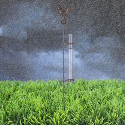 Artikelbild 3 für relaxdays Regenmesser, 1 St., Artikelnummer 439731