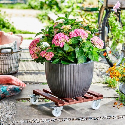 Artikelbild 6 für WAGNER® design yourself Pflanzenroller GH 0870 Holz dunkelbraun quadratisch 45,0 x 13,0 cm, 1 St., Artikelnummer 418659