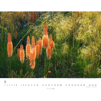 Artikelbild 10 für Weingarten Monats-Wandkalender Gräser 2026, 1 St., Artikelnummer 551164