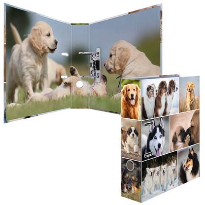 Artikelbild 3 für HERMA Motivordner Hunde 7,0 cm DIN A4, 1 St., Artikelnummer 508162