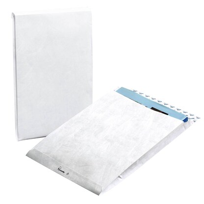 Artikelbild für BONG Faltentaschen Tyvek® Expander DIN C4 ohne Fenster weiß mit 3,8 cm Falte, 100 St., Artikelnummer 706325