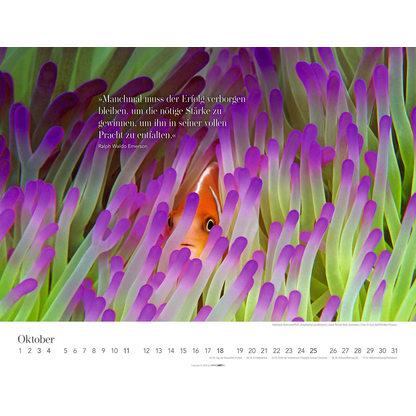 Artikelbild 11 für Weingarten Monats-Wandkalender Wege des Erfolgs 2026, 1 St., Artikelnummer 551087