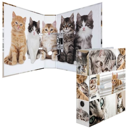 Artikelbild 3 für HERMA Motivordner Katzen 7,0 cm DIN A4, 1 St., Artikelnummer 508186