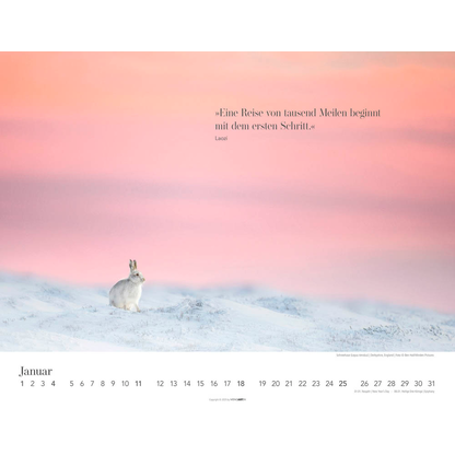 Artikelbild 2 für Weingarten Monats-Wandkalender Wege des Erfolgs 2026, 1 St., Artikelnummer 551087