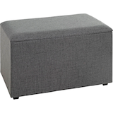 Artikelbild 1 für HAKU Möbel Sitztruhe 25171 anthrazit Holz 65,0 cm, Artikelnummer 888962