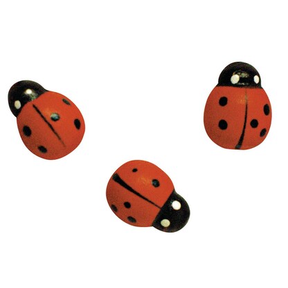 Artikelbild für Rayher Holz-Streudeko rot/schwarz Marienkäfer Ø 1,5 cm, 24 St., Artikelnummer 925420