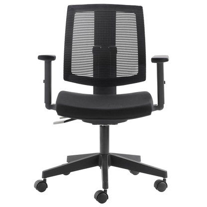 Artikelbild 2 für Mayer Armlehnen verstellbar schwarz für myLADYLIKE, 2 St., Artikelnummer 210561