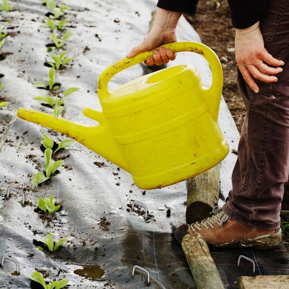 Artikelbild 5 für TerCasa Bodenanker, 100 St., Artikelnummer 741704