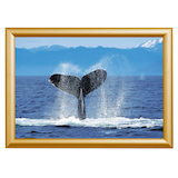 Artikelbild 1 für Showdown® Displays Klapprahmen gold 62,5 x 87,2 cm, 1 St., Artikelnummer 427518