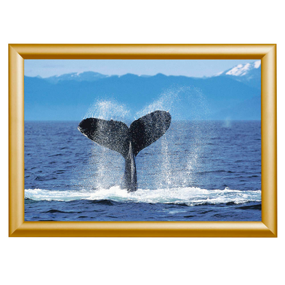 Artikelbild für Showdown® Displays Klapprahmen gold 24,1 x 32,8 cm, 1 St., Artikelnummer 427328