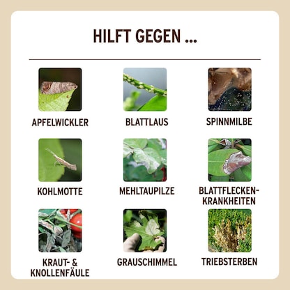 Artikelbild 6 für SUBSTRAL® Naturen® Urtica Spray Pflanzenspray 750,0 ml, Artikelnummer 368512