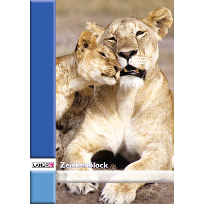 Artikelbild 4 für LANDRÉ® Zeichenblock DIN A4 100 g/qm, 10 Blatt, 1 Block, Artikelnummer 486326