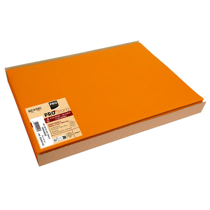 Artikelbild für PROnappe Platzsets orange 30,0 x 40,0 cm, 100 St., Artikelnummer 349518