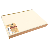 Artikelbild 1 für PROnappe Platzsets beige 30,0 x 40,0 cm, 100 St., Artikelnummer 348528