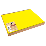 Artikelbild 1 für PROnappe Platzsets gelb 30,0 x 40,0 cm, 100 St., Artikelnummer 349437