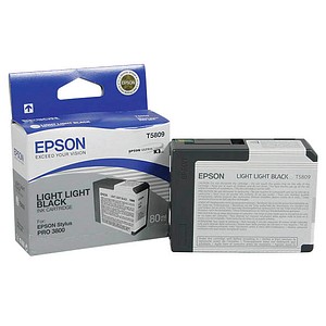 EPSON T5809  light light schwarz Druckerpatrone