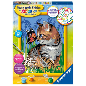 Ravensburger Malen-nach-Zahlen Katze mit Schmetterling mehrfarbig