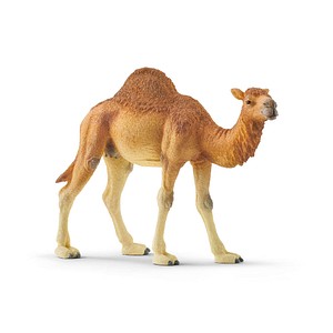 Schleich® Wild Life 14832 Dromedar Spielfigur