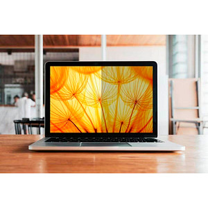 3M Display-Blickschutzfilter für 43,2 cm (17,0 Zoll)