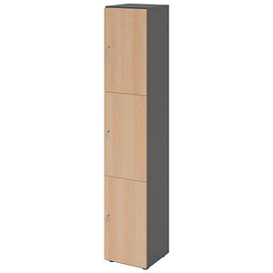 HAMMERBACHER Schließfachschrank grafit, eiche V264L3/G/E/DS, 3 Schließfächer 40,0 x 42,0 x 215,6 cm