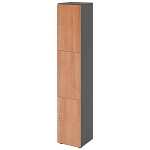 HAMMERBACHER Schließfachschrank grafit, nussbaum V264L3/G/N/DS, 3 Schließfächer 40,0 x 42,0 x 215,6 cm