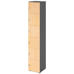 HAMMERBACHER Schließfachschrank grafit, ahorn V264L6/G/3/DS, 6 Schließfächer 40,0 x 42,0 x 215,6 cm