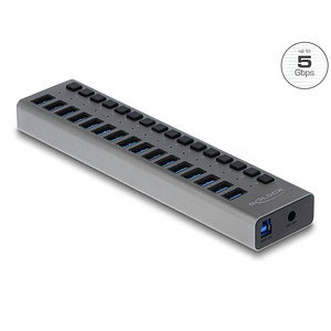 DeLOCK USB-Hub 16-fach grau