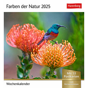 Harenberg Postkartenkalender Farben der Natur 2025