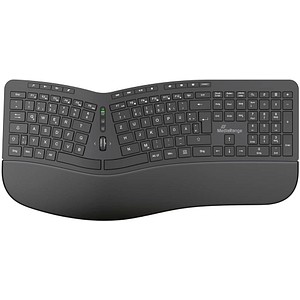 MediaRange MROS279 ergonomische Tastatur kabellos schwarz
