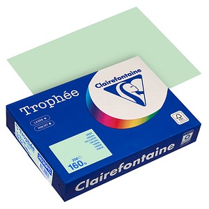 Clairefontaine Kopierpapier Trophée hellgrün DIN A4 160 g/qm 250 Blatt