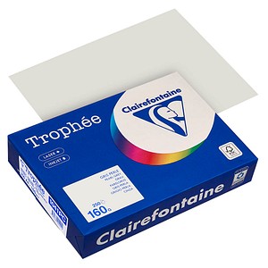 Clairefontaine Kopierpapier Trophée grau DIN A4 160 g/qm 250 Blatt