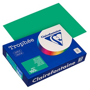 Clairefontaine Kopierpapier Trophée tannengrün DIN A4 160 g/qm 250 Blatt